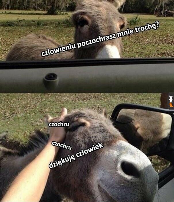 9d785e68-e562-4c9d-91ea-2182ce868a7d