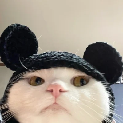 a5bb9c18-8caf-490a-b4df-ffab499fbacc