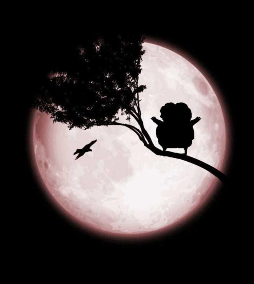 7ae3293b-4f47-4861-b9b3-fa3b6c2adf65