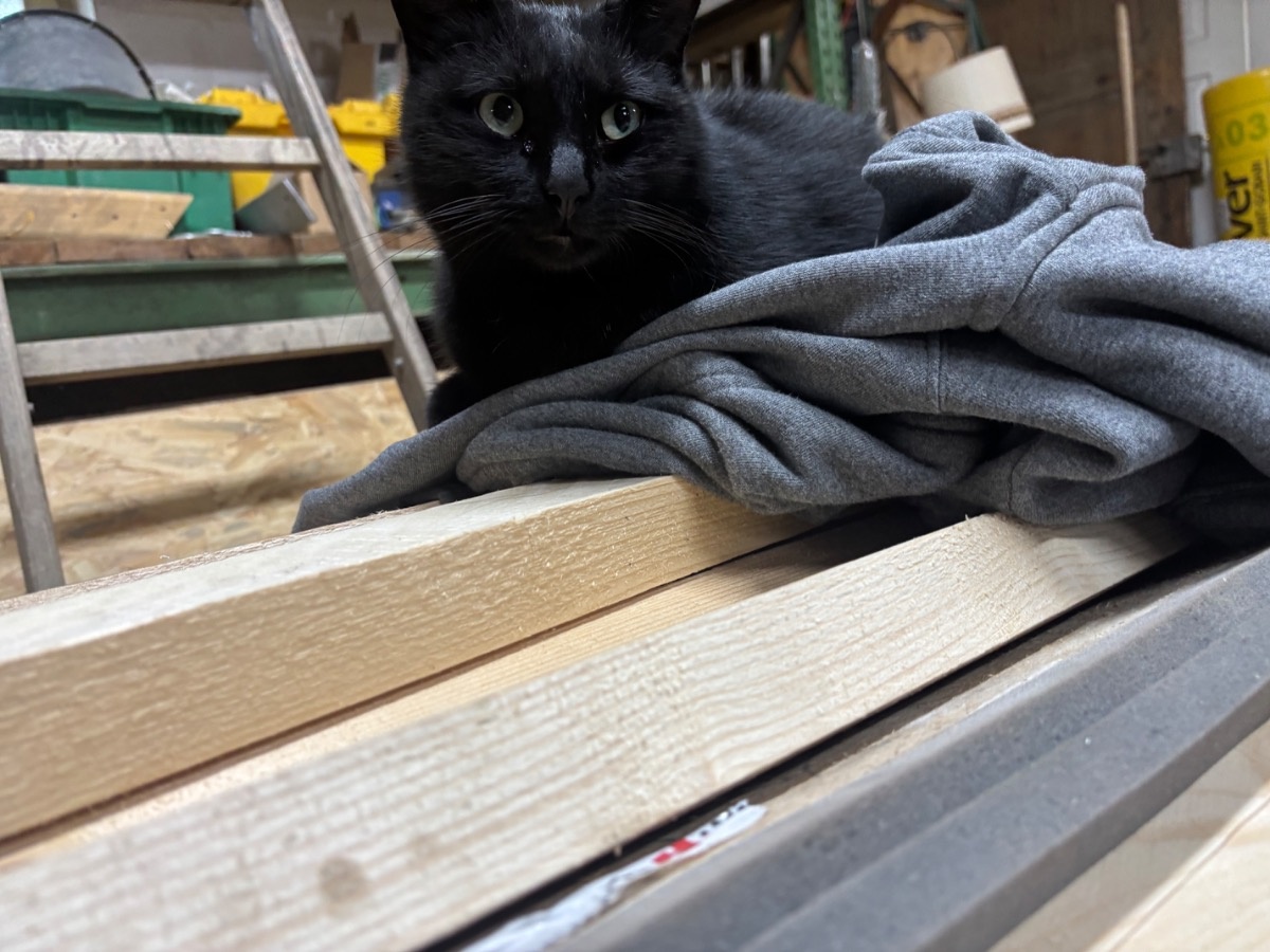 26250d89-9fb5-47c9-9ad1-e152472cb8e7