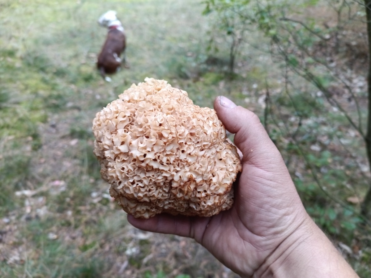 33c01816-754c-4b16-a0a1-600e4a29fecc