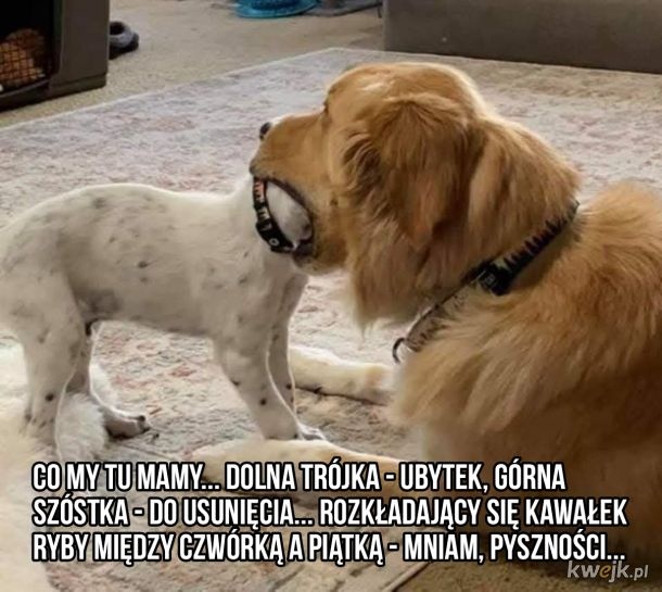 c02a0150-cccd-4682-9056-7d25ece72e93