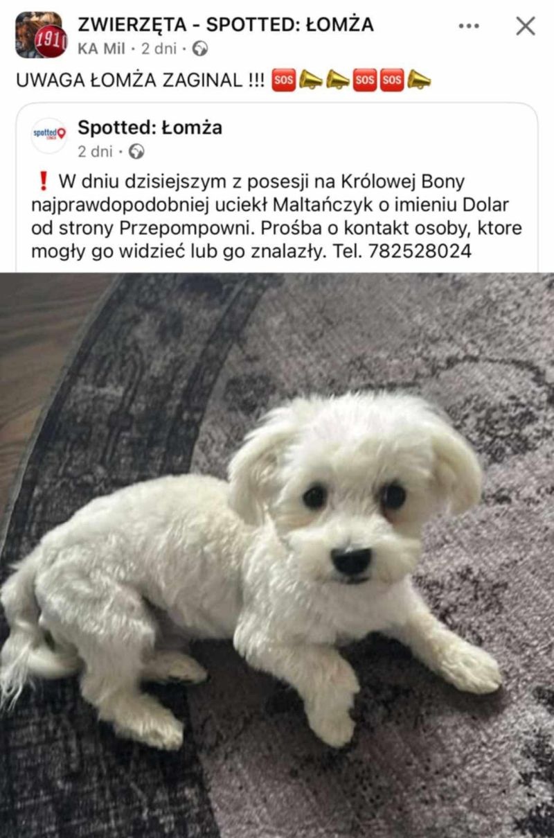 36e501db-53e5-45d6-9f35-a2b78bbd928d