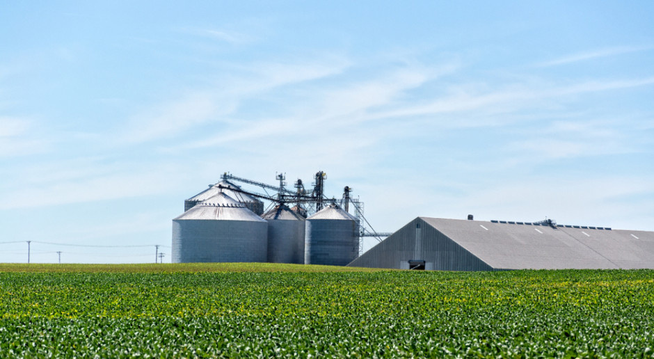 Przybywa wielkoprzemysłowych ferm. Gminy boją się odorów i zanieczyszczeń