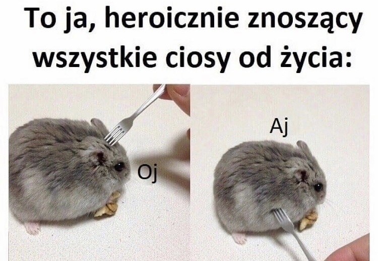 e2f3042b-5319-4a99-bb52-d90166c822f0