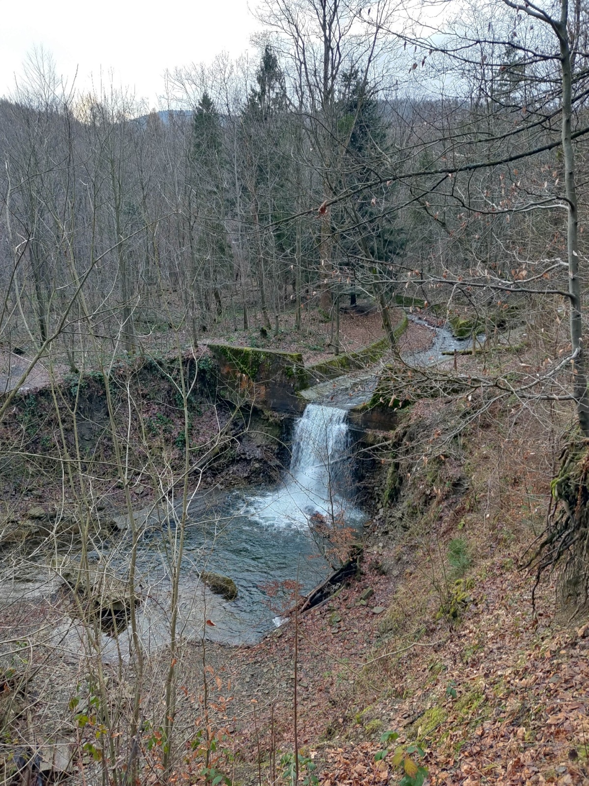 4213e0f6-3f99-452c-89d9-2c69c5b18f81