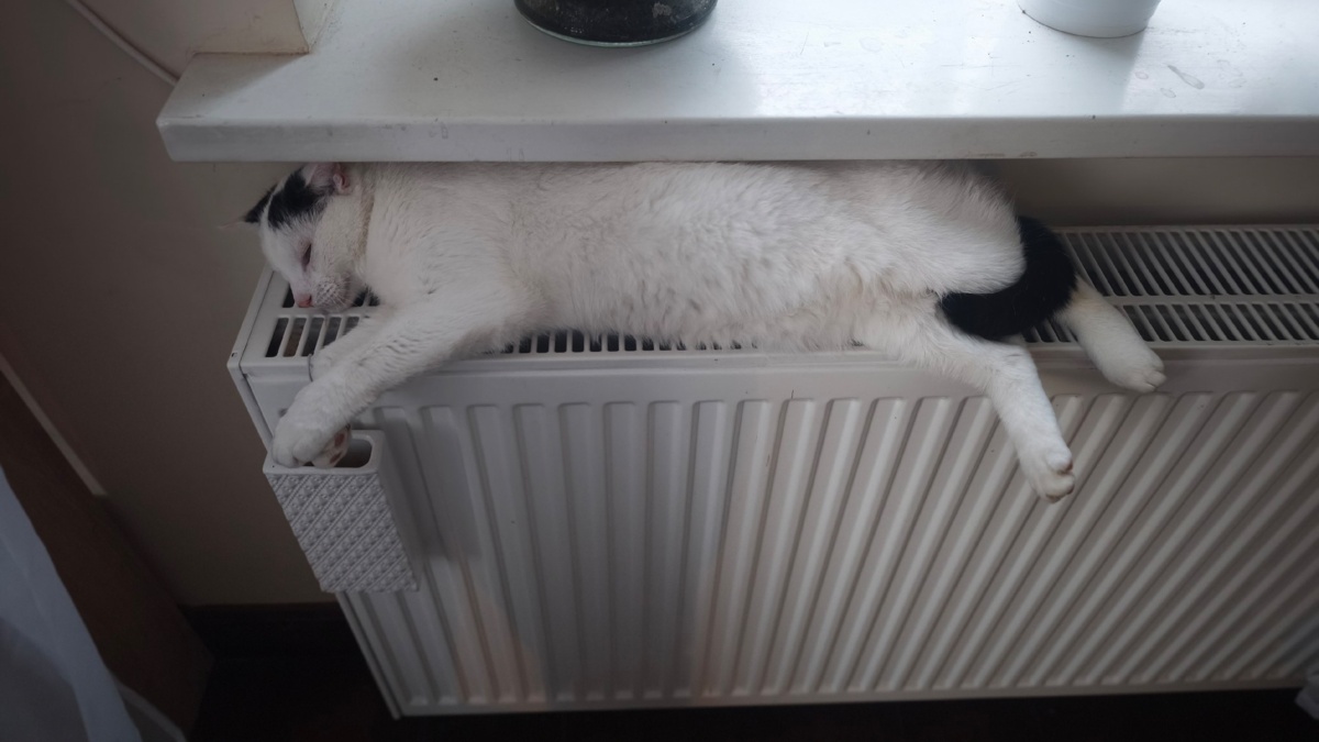 75e1cec1-e078-4f96-b48b-8545e6a9c3f9