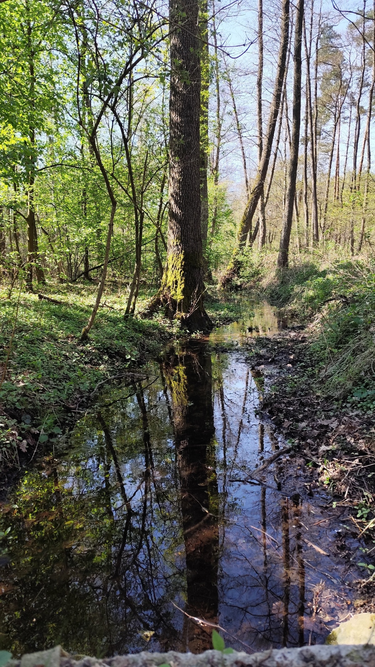 93e0fe01-ac2f-4484-85bc-995f61623bad