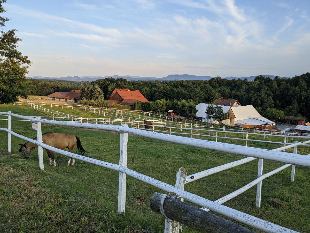 f59483d0-6065-467d-bd02-3ec3f8848c5d