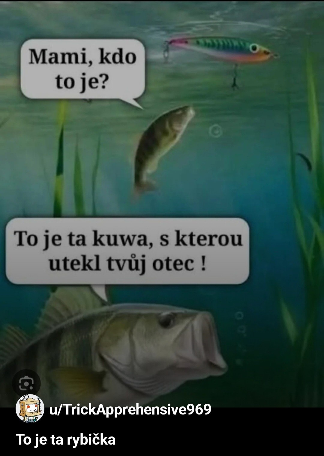 94bfcf05-d754-4913-bdf2-839f000d09af