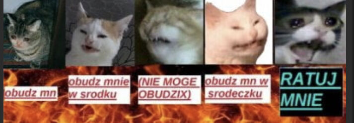 3bcd69b0-de02-4929-a982-8b6ffbf3fa09