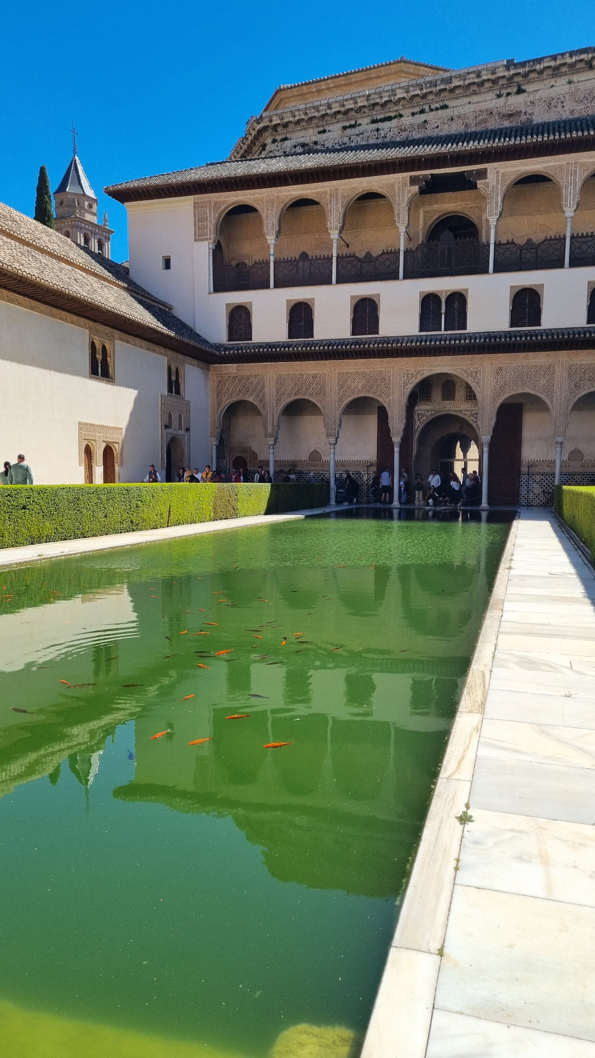 0222562c-f31b-450c-8033-3d70a460200d