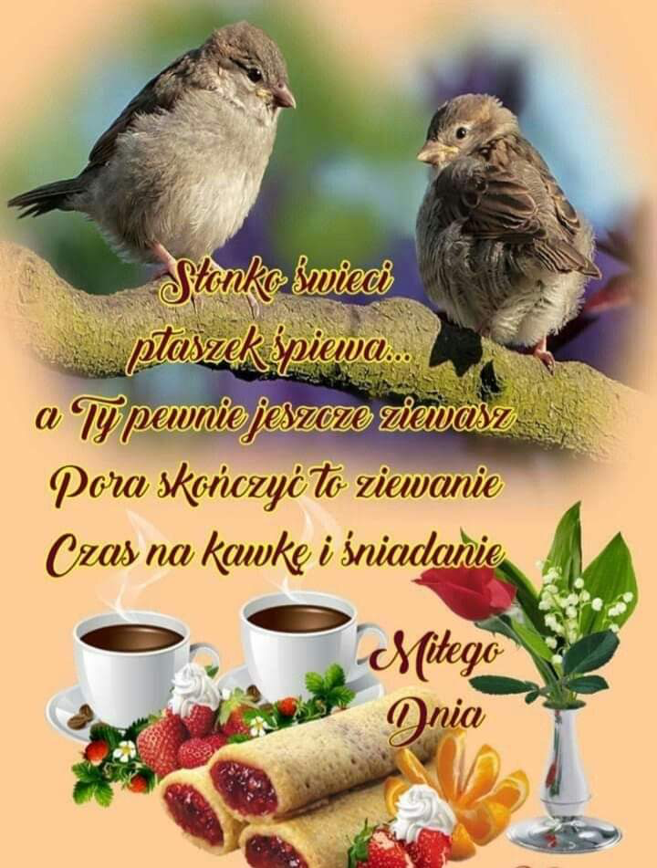 9cae8a8a-b316-40c0-aa4e-c3e9a7ee07a1