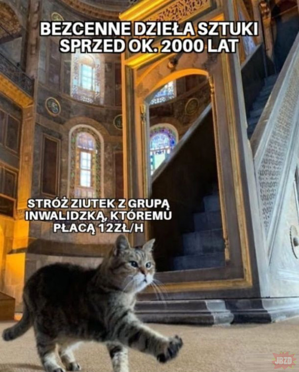 d5d1ff3e-8a7f-42a8-8b99-225e0a8e7388