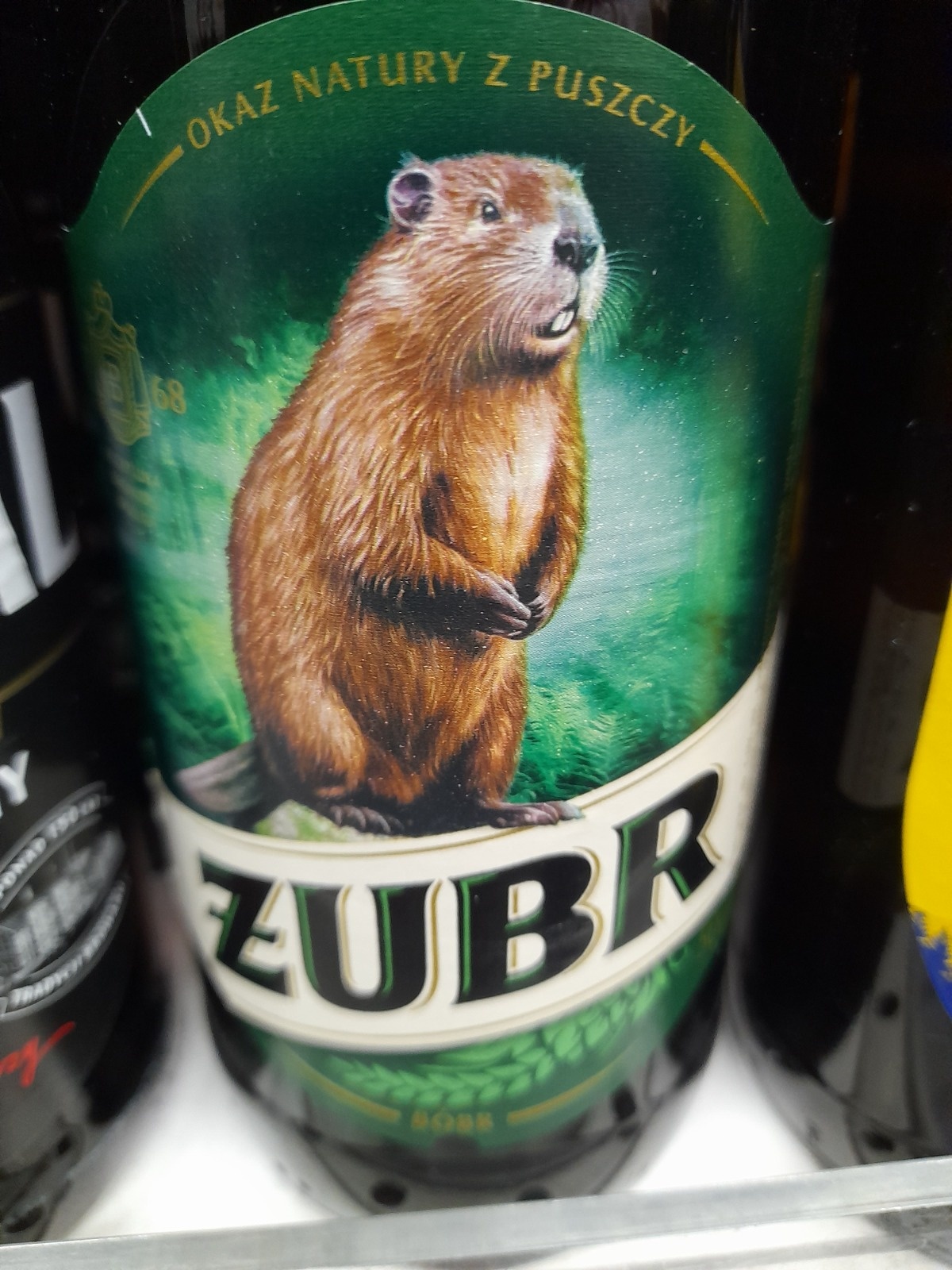 9b08b84a-d269-47ce-a6ee-57fb23c6303d