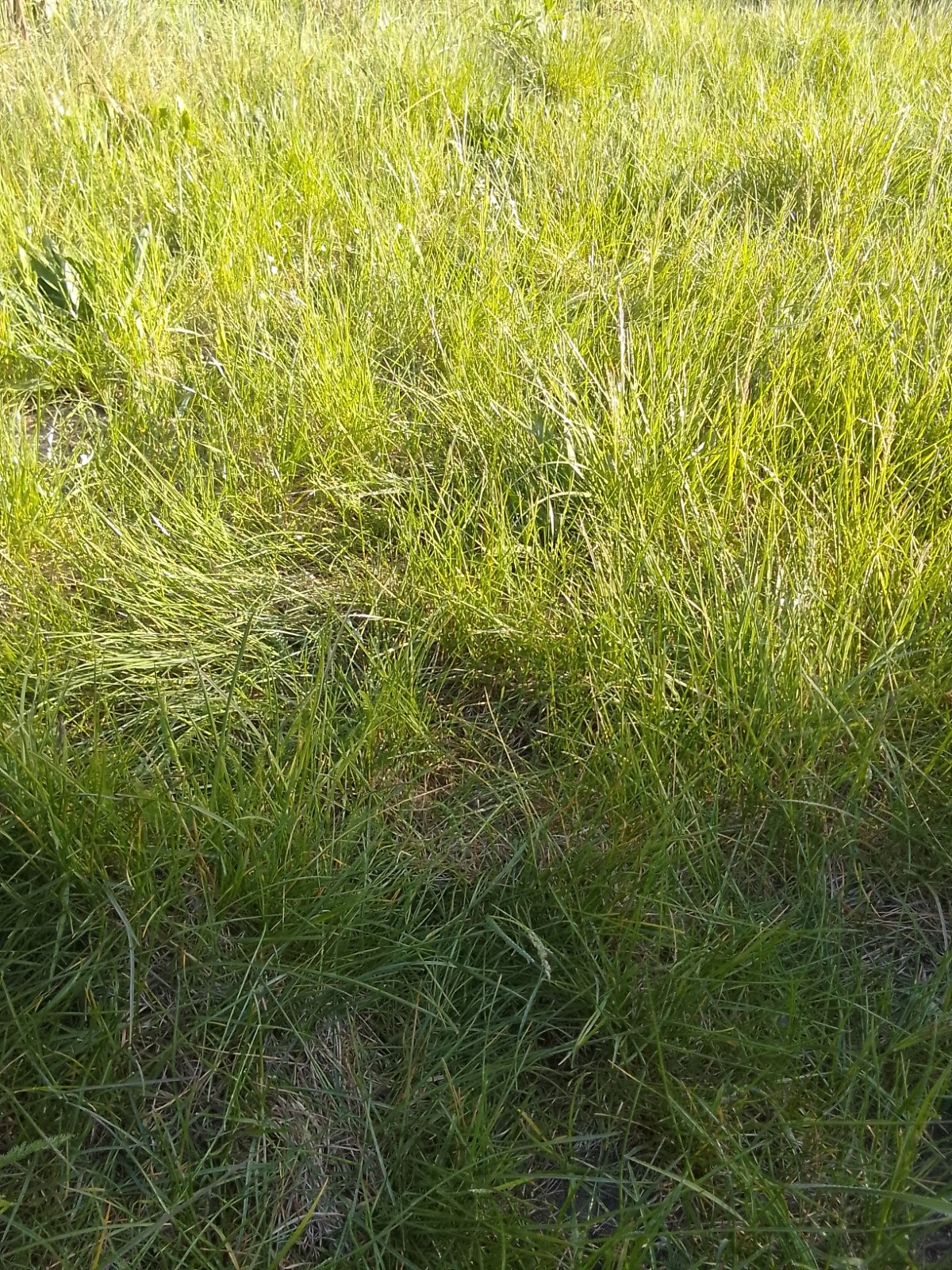 c4573a5d-af3b-4096-91d8-c2c7d093ff89