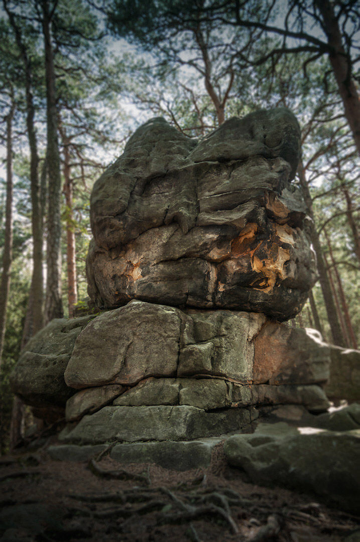 2549f377-fafc-44fe-abe0-23df187e6b8d