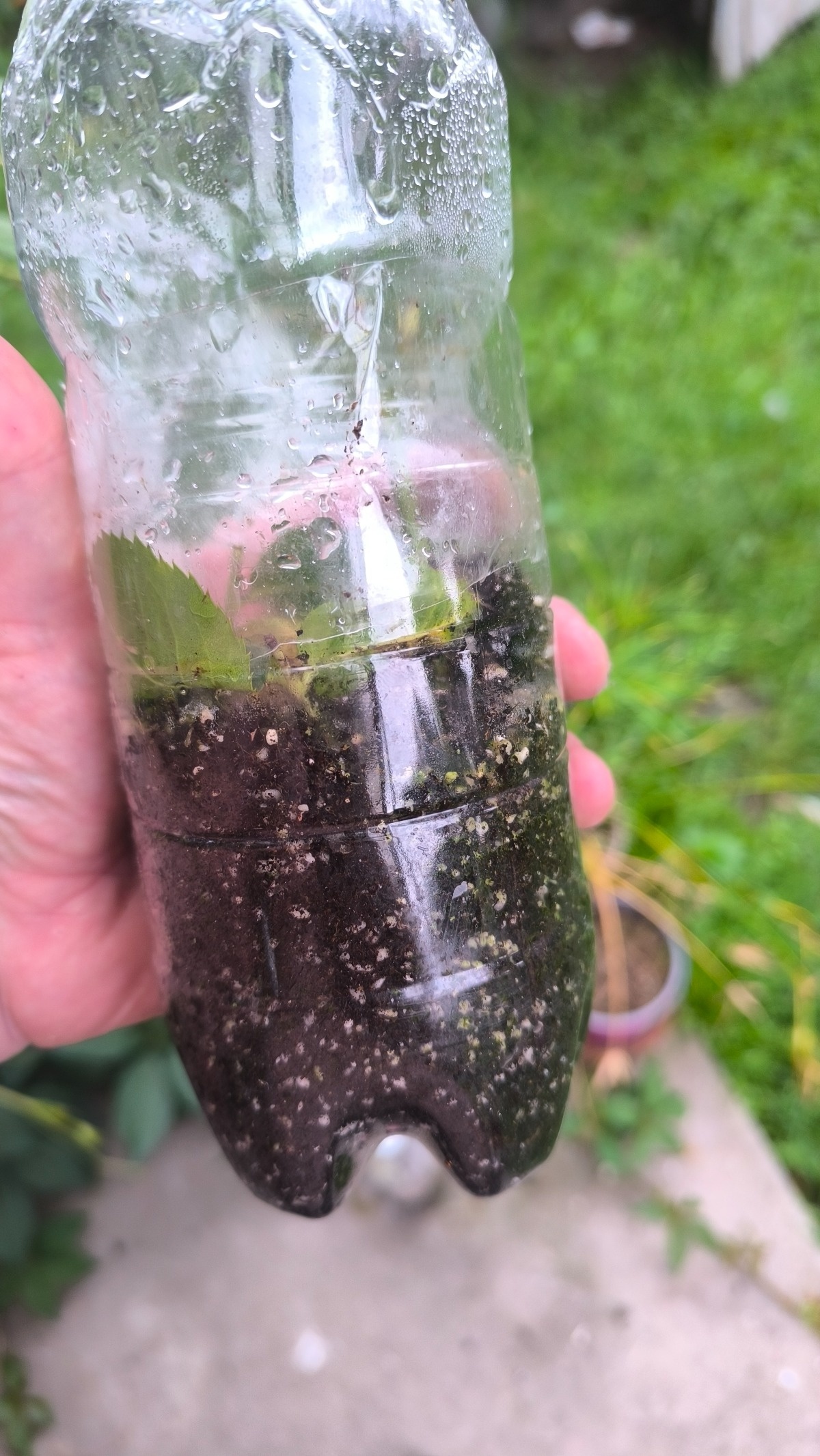 638bb8ca-1f37-430a-8b6a-8b6beac39b23