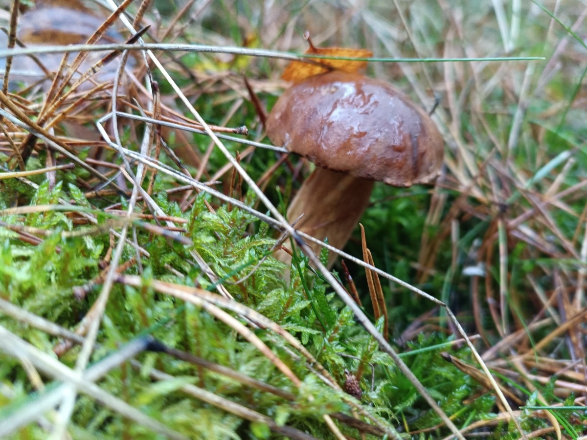 e536b7c4-130d-453a-a7cb-ddb2b11a4641