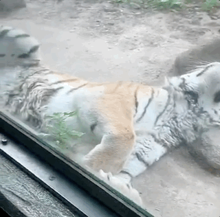 6d258e3a-ece2-4c60-8369-fb5d33f73956