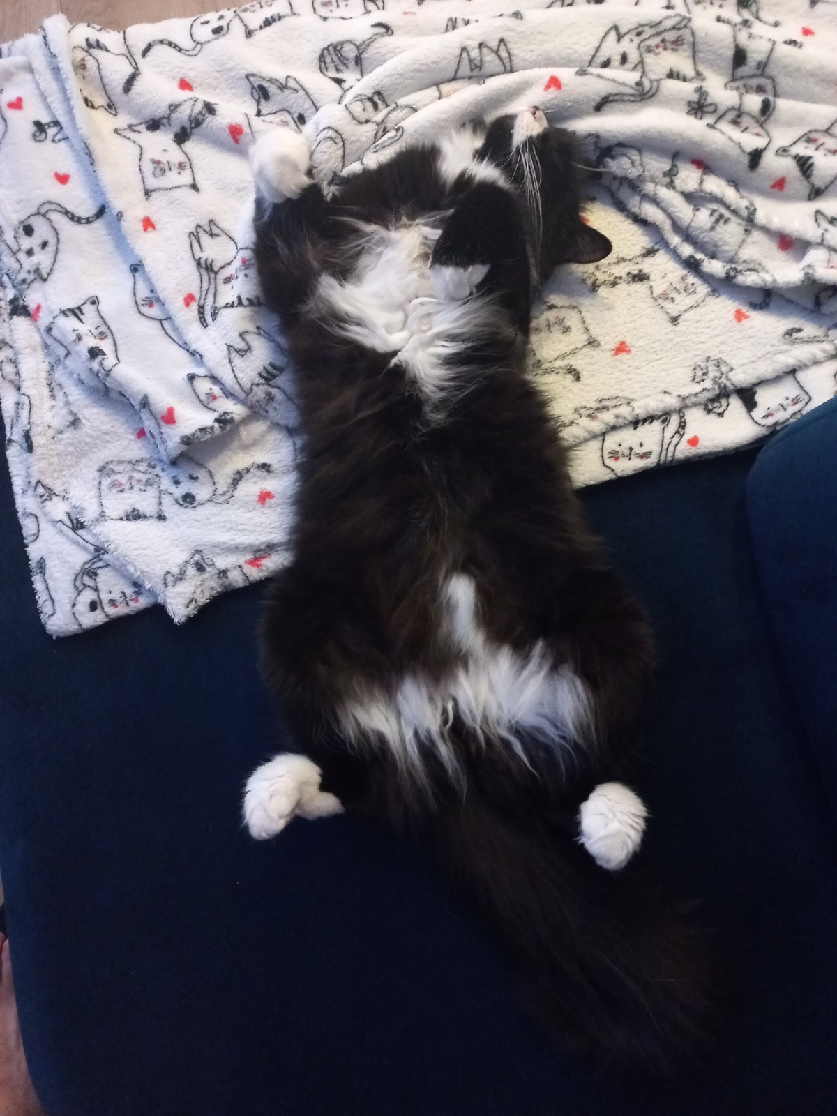 022ef1d0-7906-4f7b-ad49-f96c87e4c756