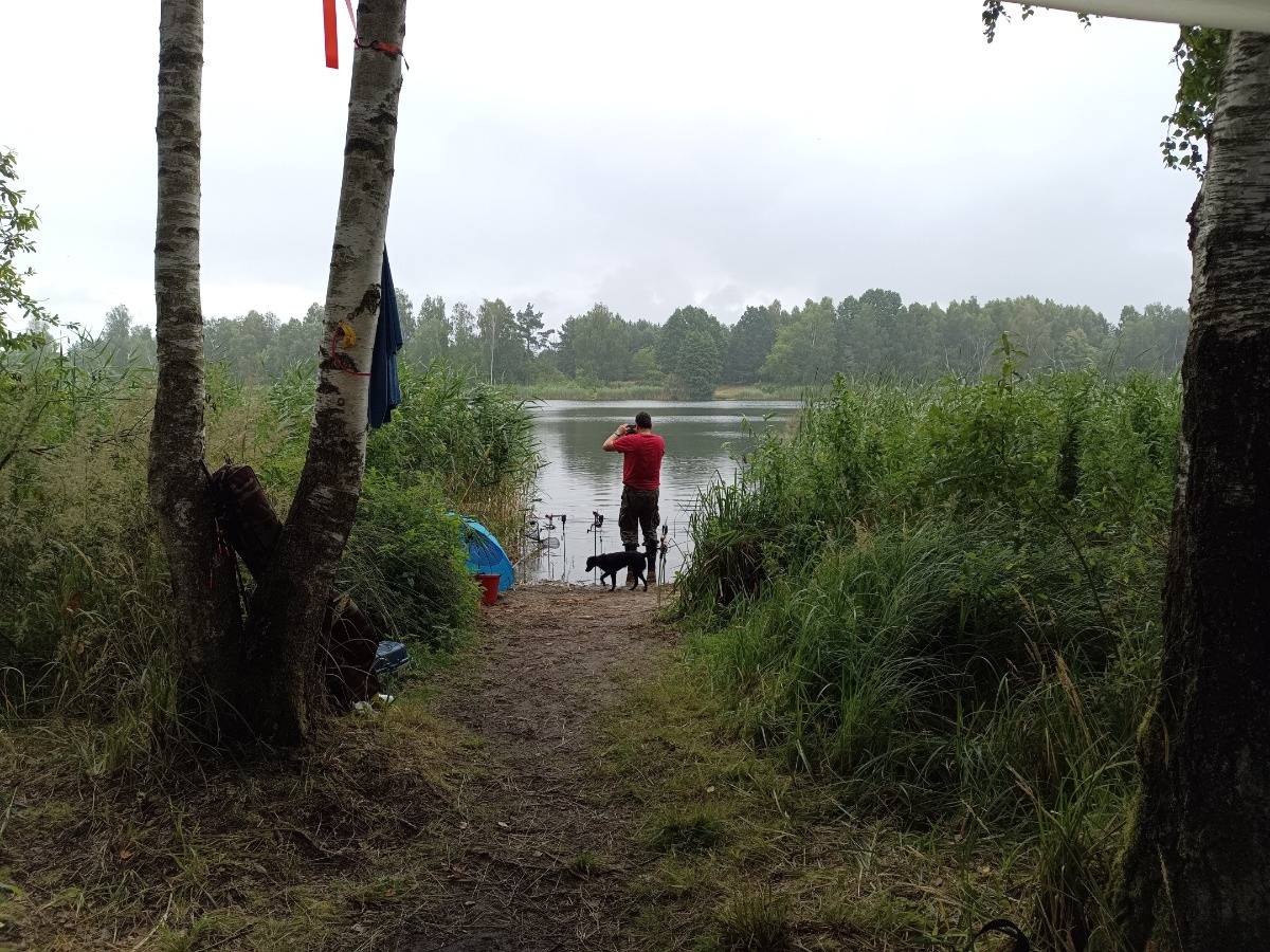 cbabfa5e-3f2d-4be9-a5ad-d7a489e9e859