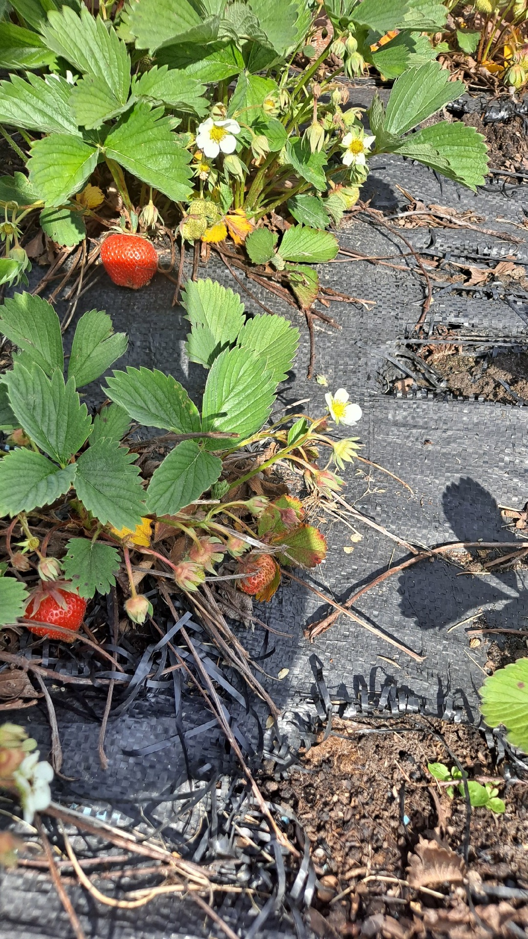 d6211894-26d9-4f45-8ea3-f5e5e0c6bf6b