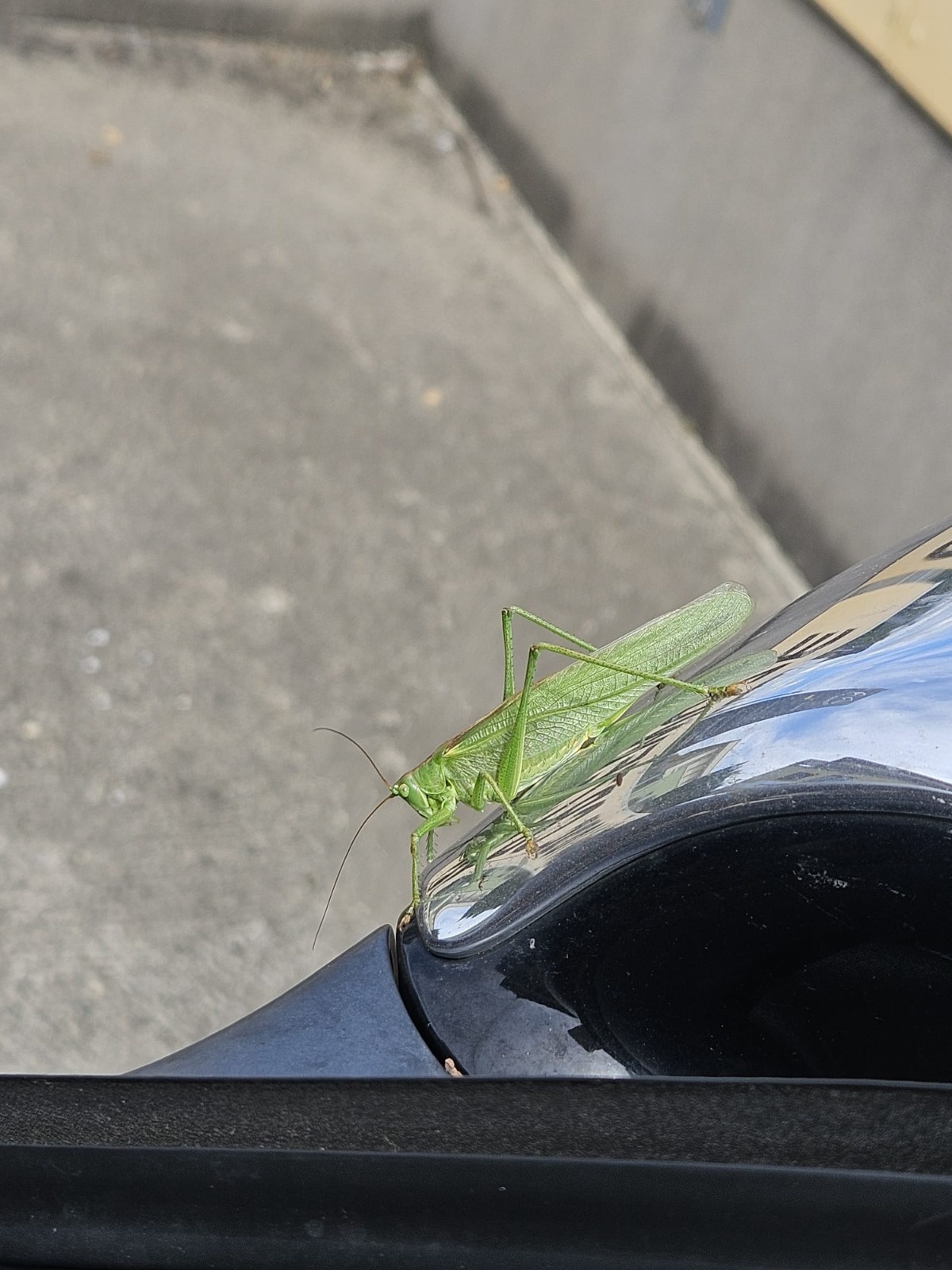 ff19aabc-8ed1-4f10-ad8d-25ccbfd545dc