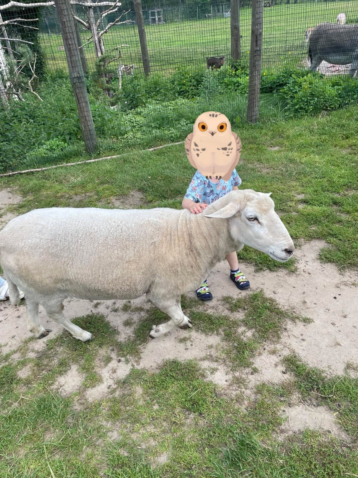 f4aac8ad-6c08-42fa-b5ba-74d6651f0e70