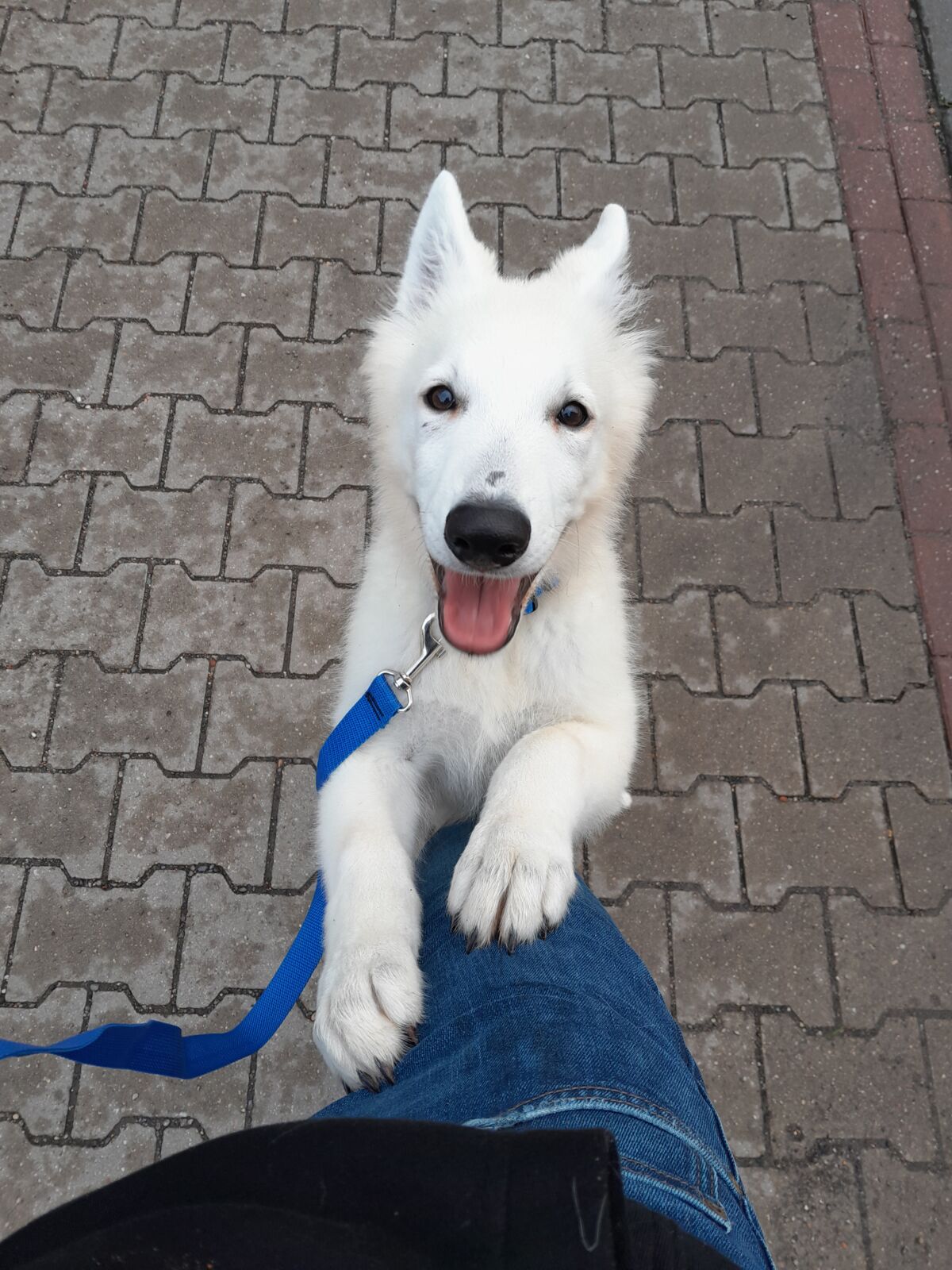 70dea2ae-c38a-4e4b-9aa2-d889d62874f5