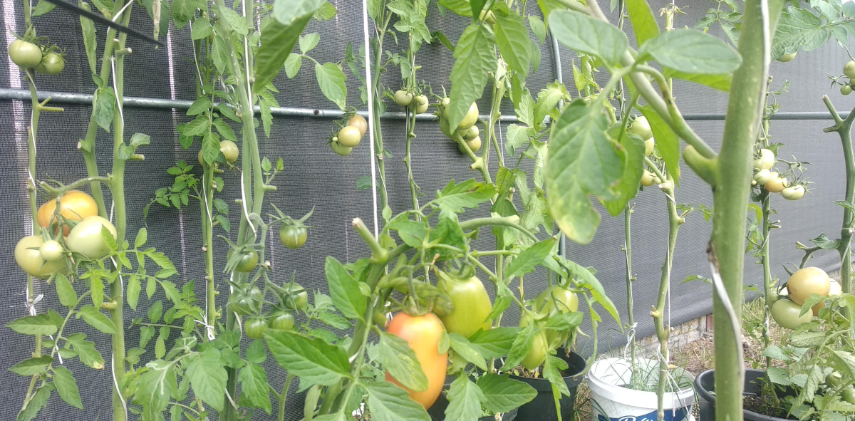 ee731726-73a2-4ec4-be37-d96820c1a759