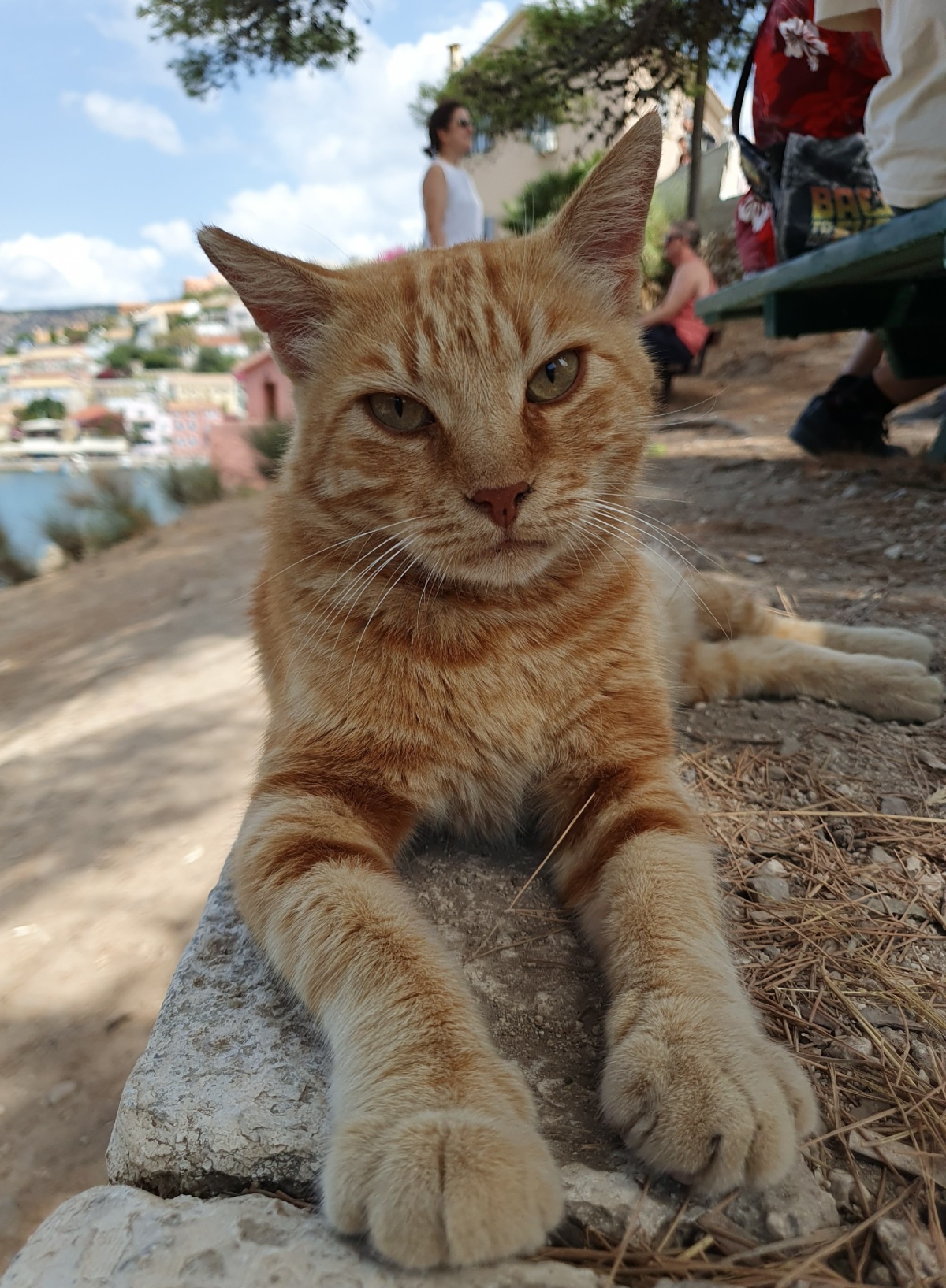 21e58d66-11cd-4454-bd3e-8f22f7240220