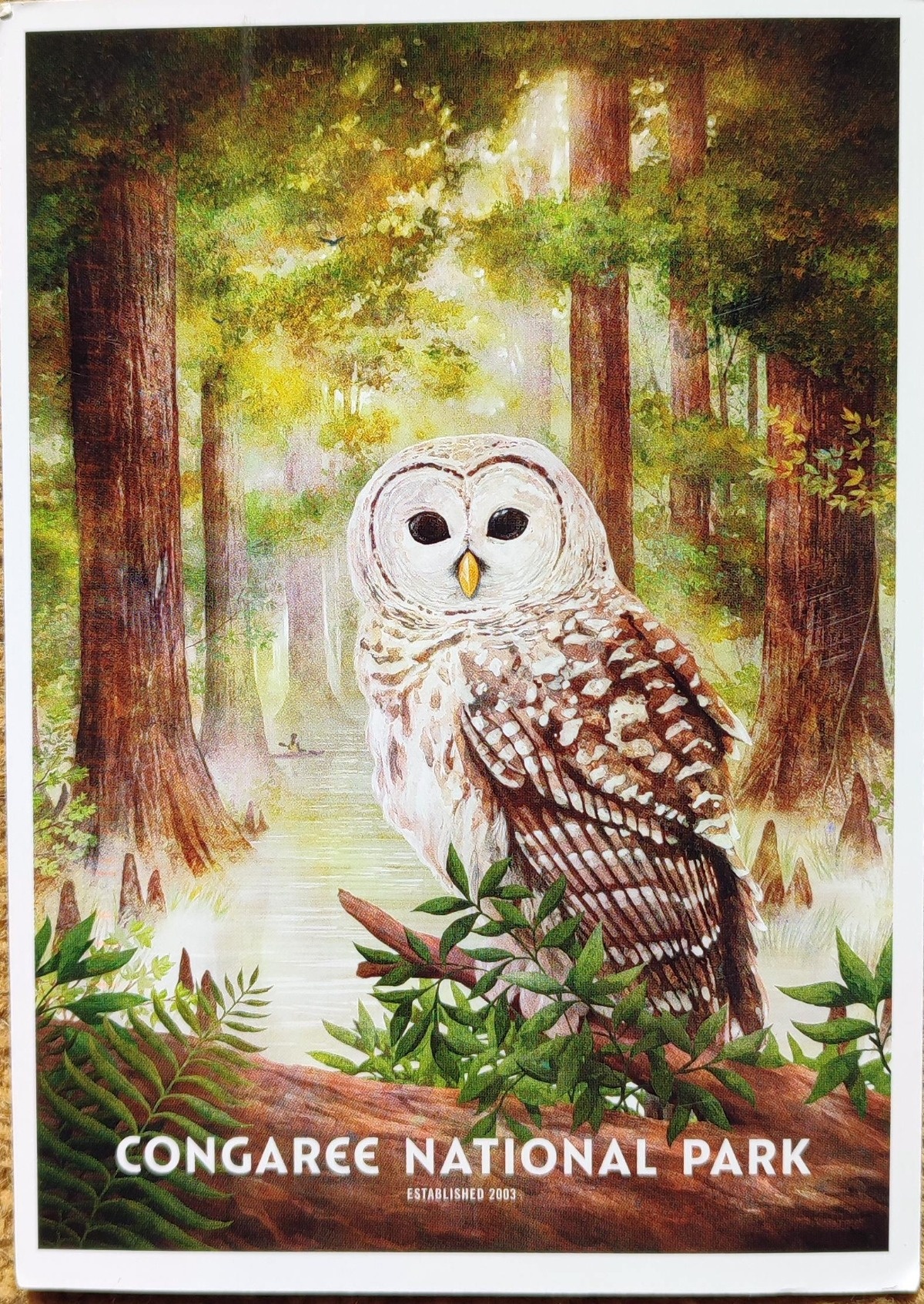 d812a144-5104-4cf5-815d-d14e2ae8195e