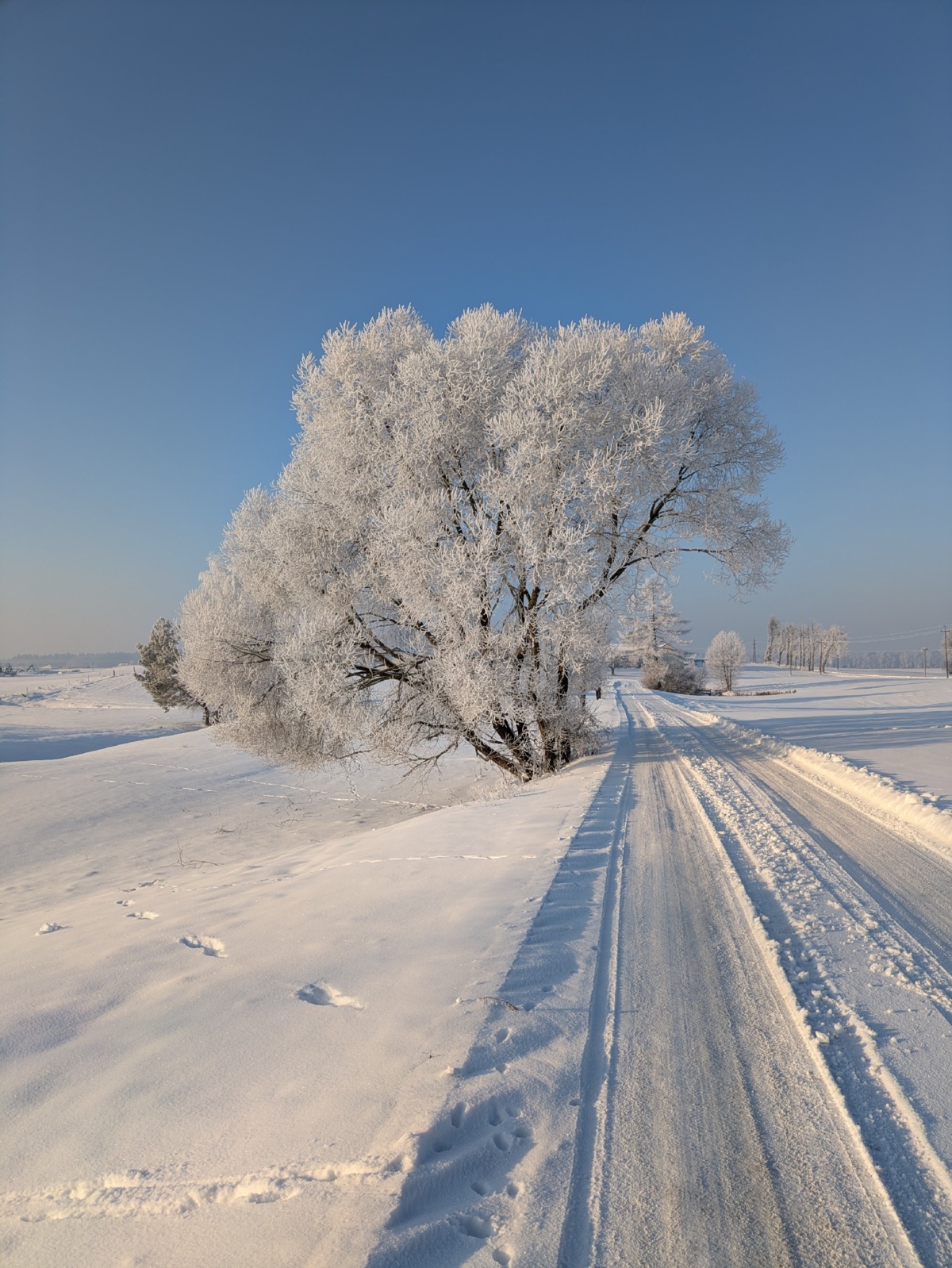 8c34a737-288c-4b5f-8dfc-2d3a35e02dba