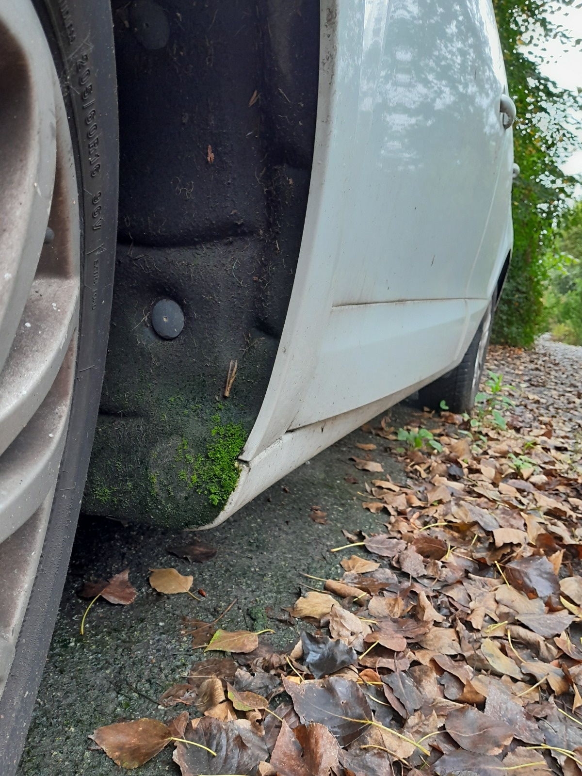 43b7547d-51b5-4878-92be-66cdc772f192