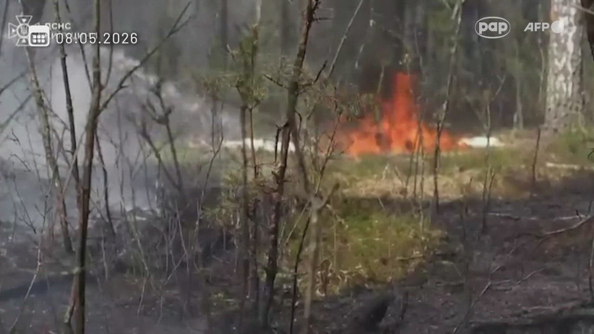 Pożar w strefie wykluczenia w Czarnobylu. Ponad 1100 hektarów lasów w ogniu [WIDEO]