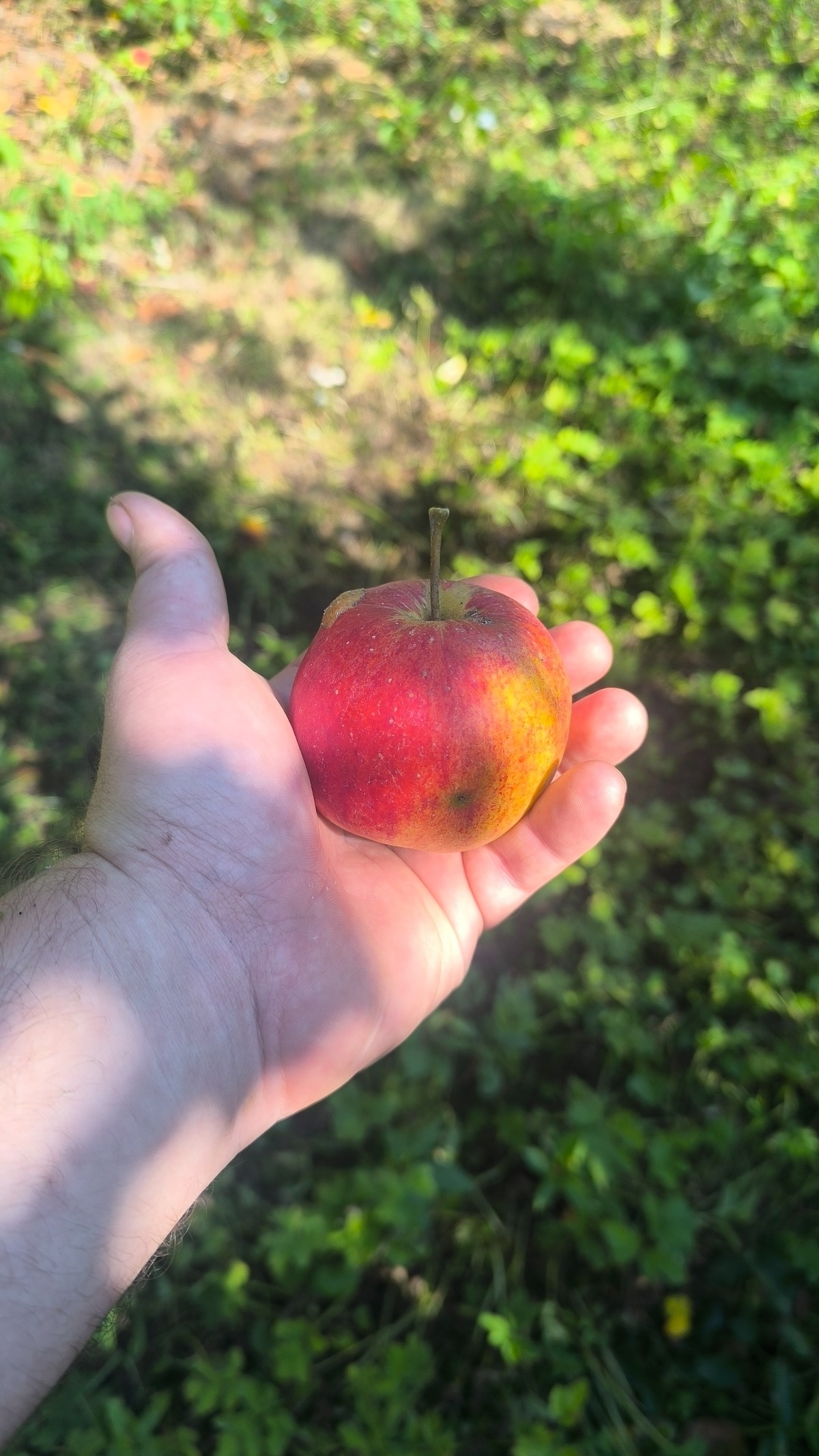 27f0d802-5f70-41fd-b8d8-6ff9530d8f59