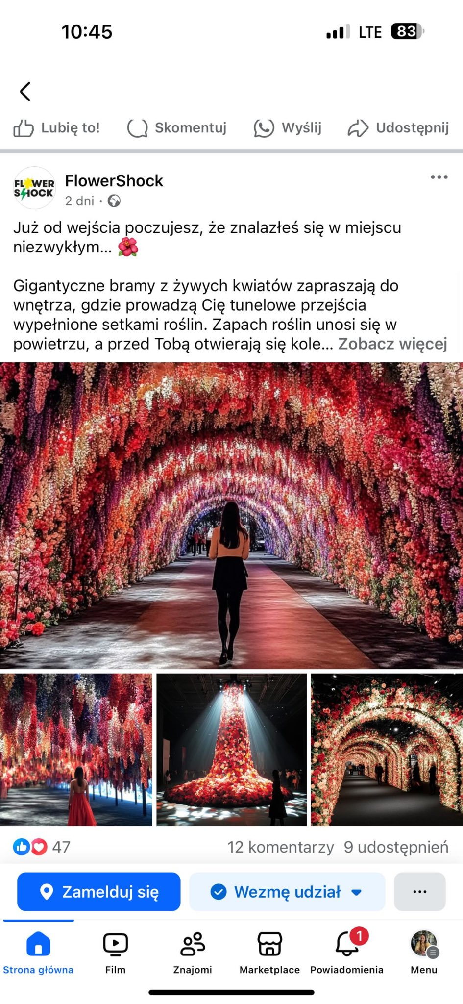 00f415b4-e271-4a6e-b9e7-ed089fda5ee0