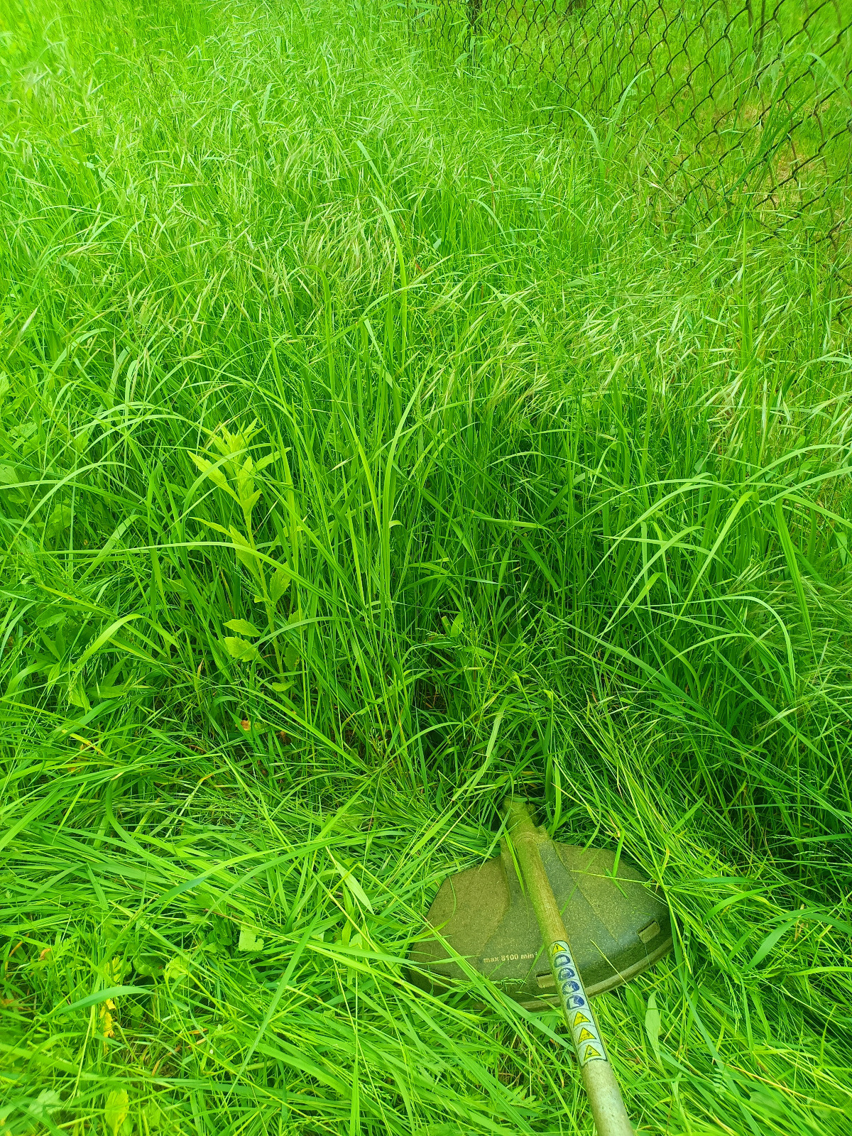 da0adc2b-626c-4064-8b9e-ac11f4c45b36