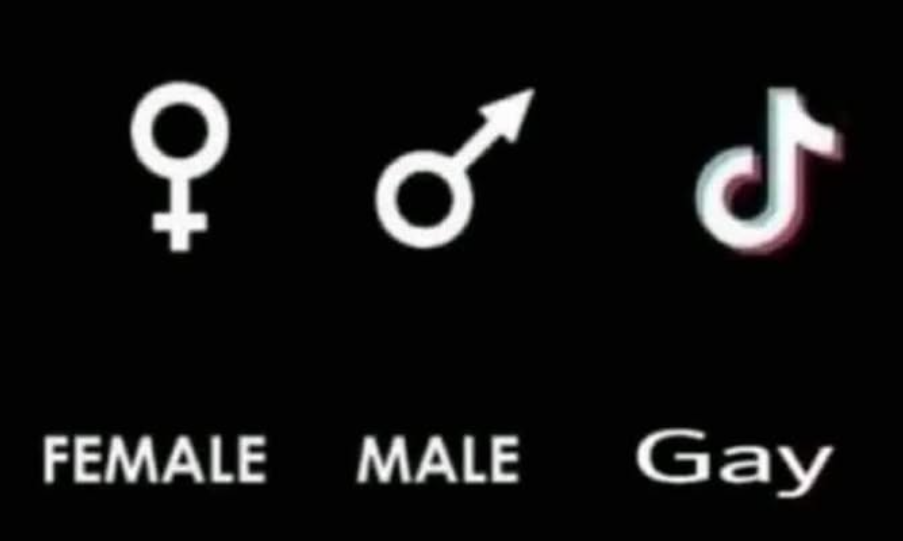 d5d7bc63-9740-4bed-862e-9ec265020fe3