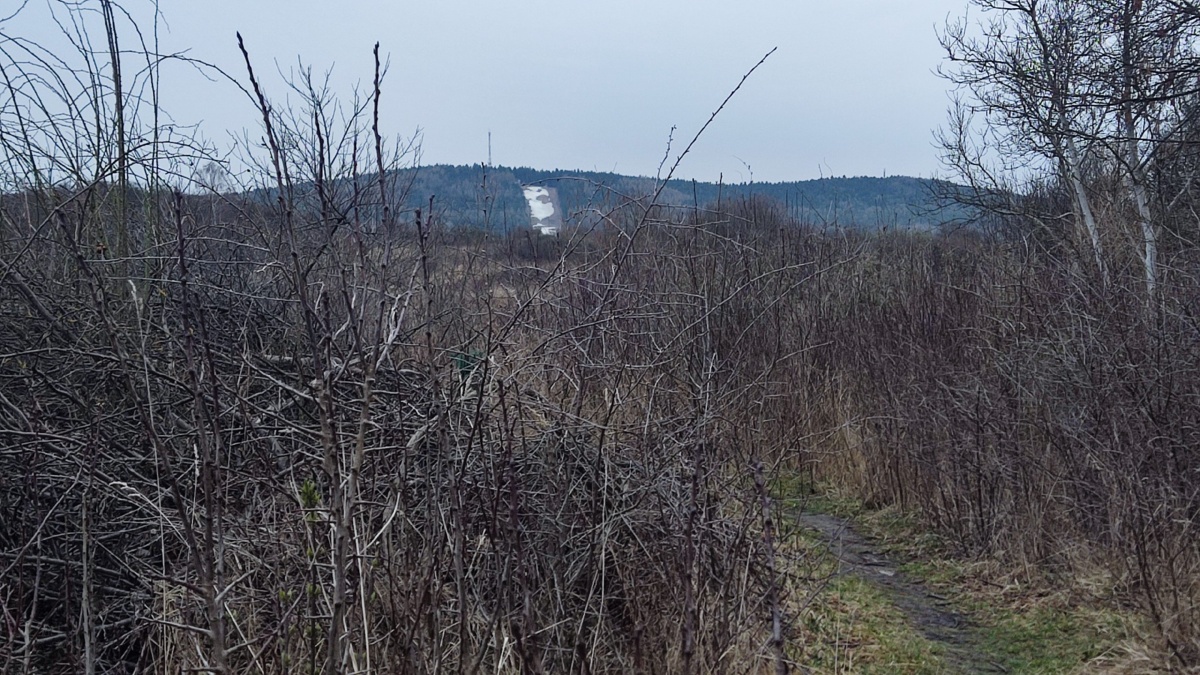 44a1ff2a-6802-4f36-9618-677854e3a161