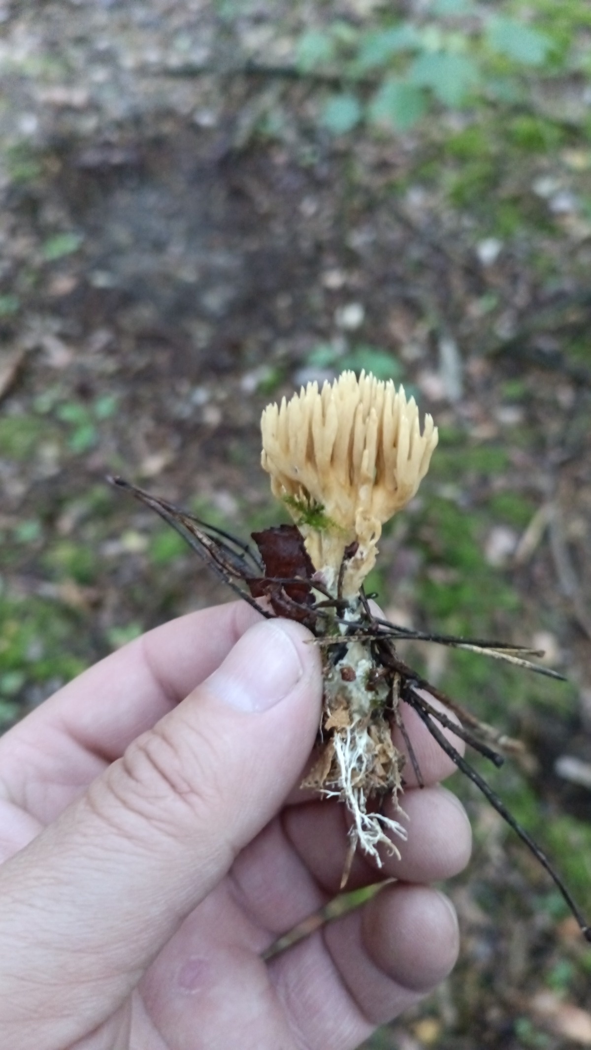 01d4a48b-5e3e-4c2b-9acb-533ff4488415