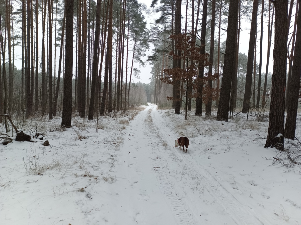 b9fd4230-48e3-47a4-9948-dfa152f61a9d