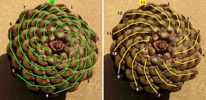 38004346-4230-4bc1-b515-c7514d2f1955