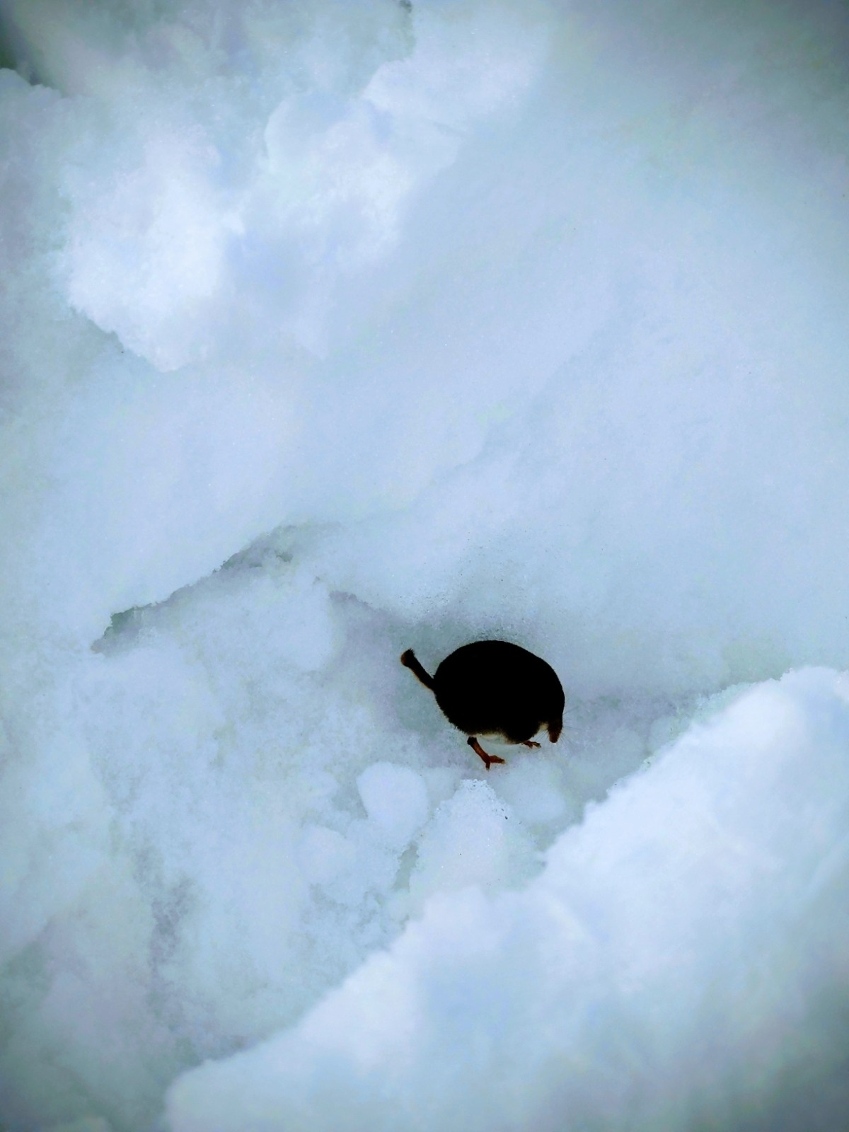 5d334d07-a083-4253-8f06-3eeffc89d63f