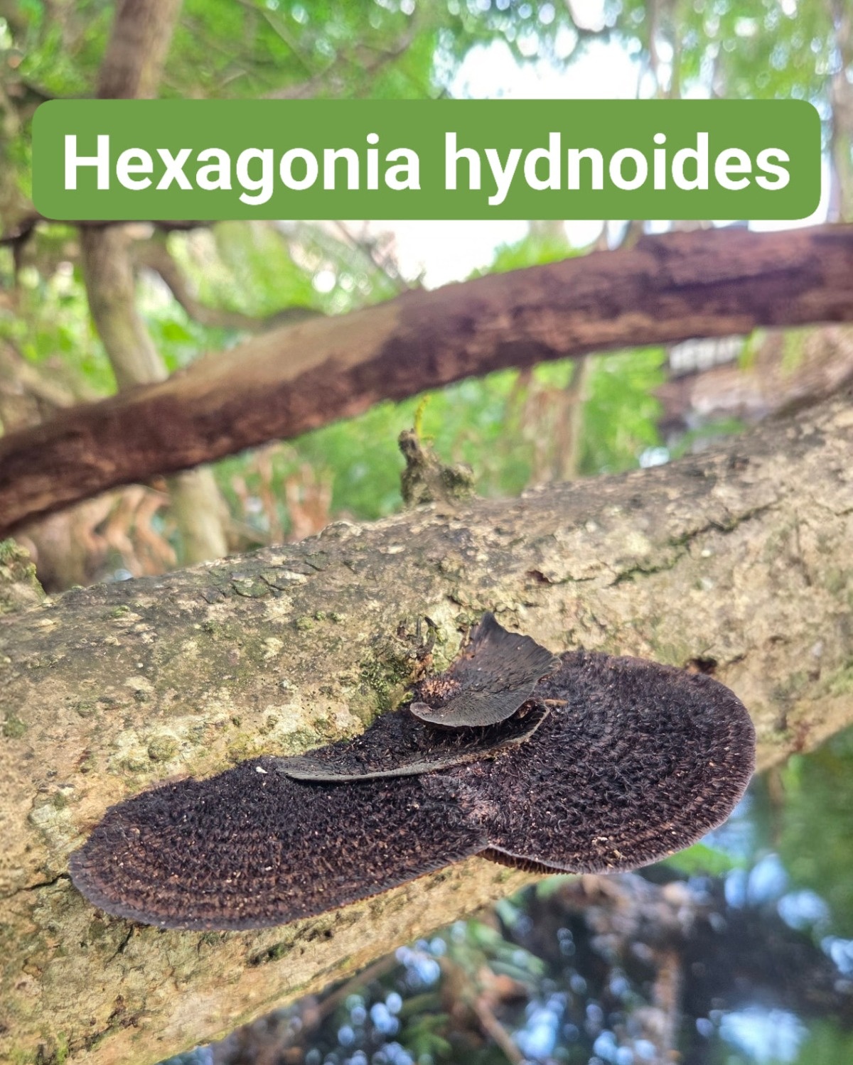 585cdb72-bbec-469e-96a9-66130c09e140