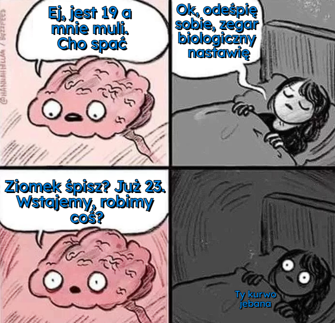 c0eaa06f-9544-4d60-a1bf-1d875c648502