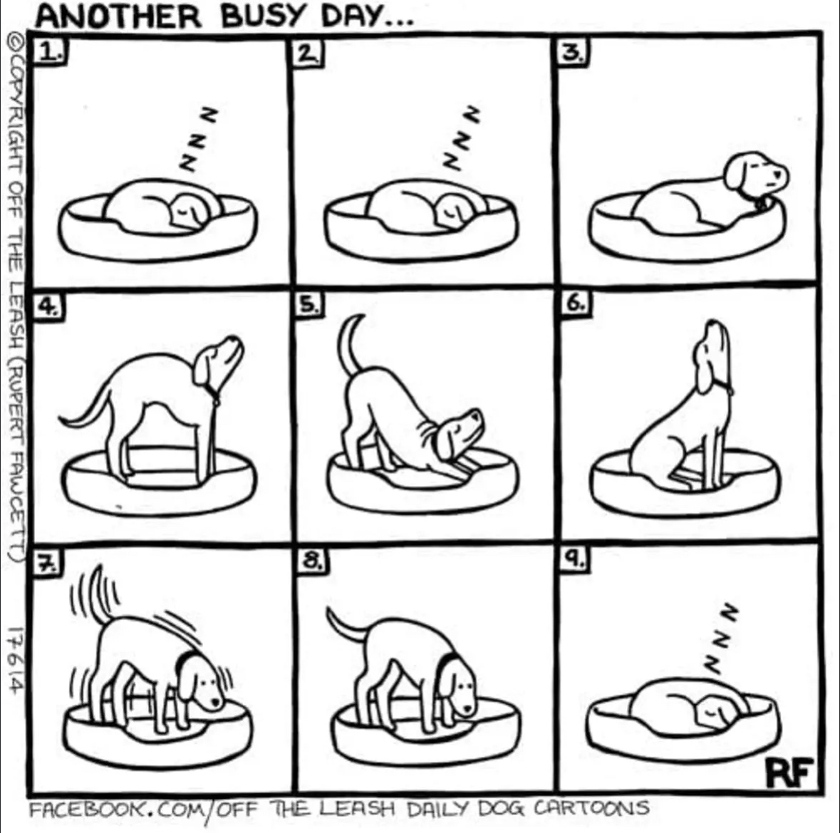 d43ed4cd-19bc-4c1d-849c-ad70d8743c10