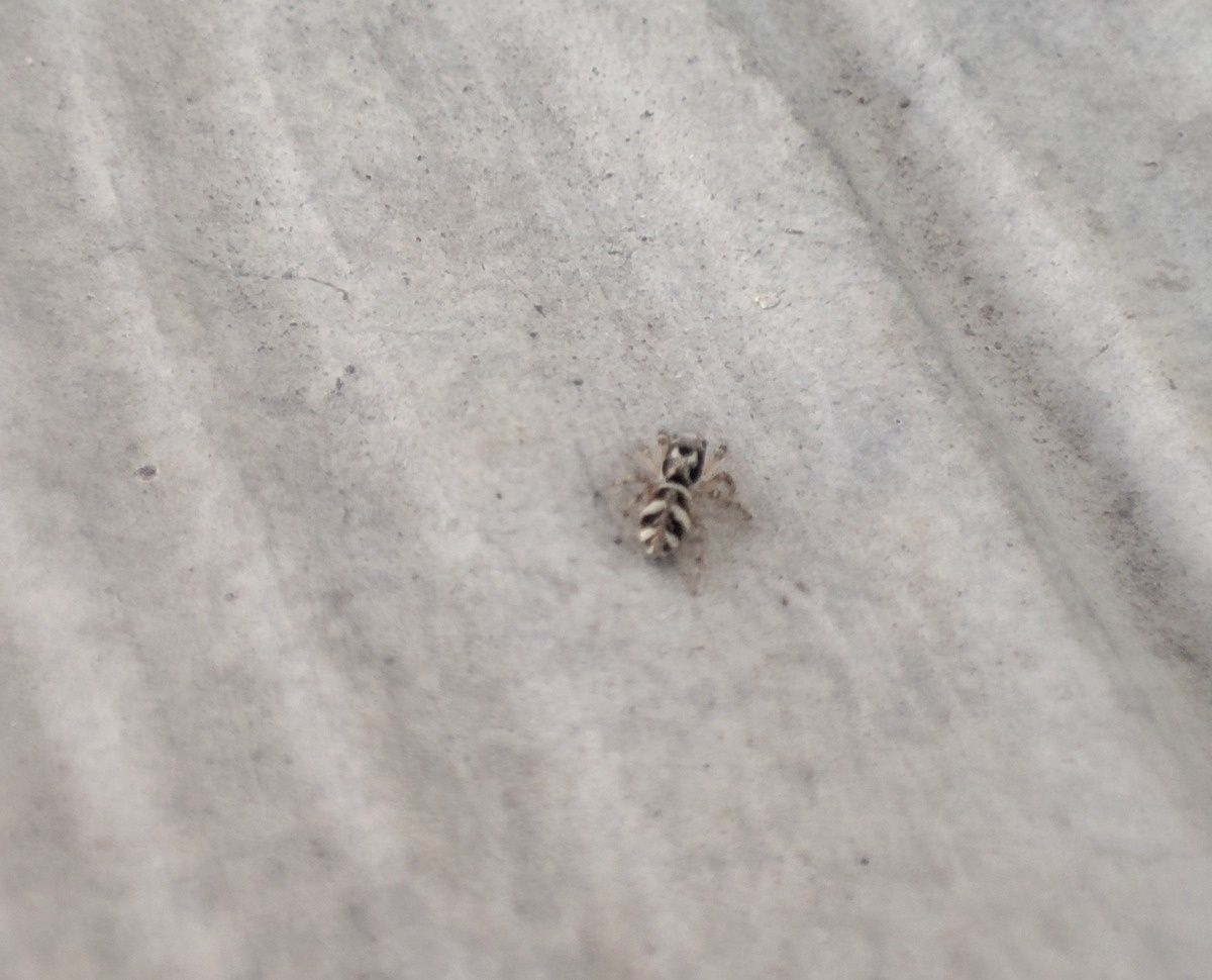 9d506857-79d4-450d-8f23-1ea1a18b2bd3