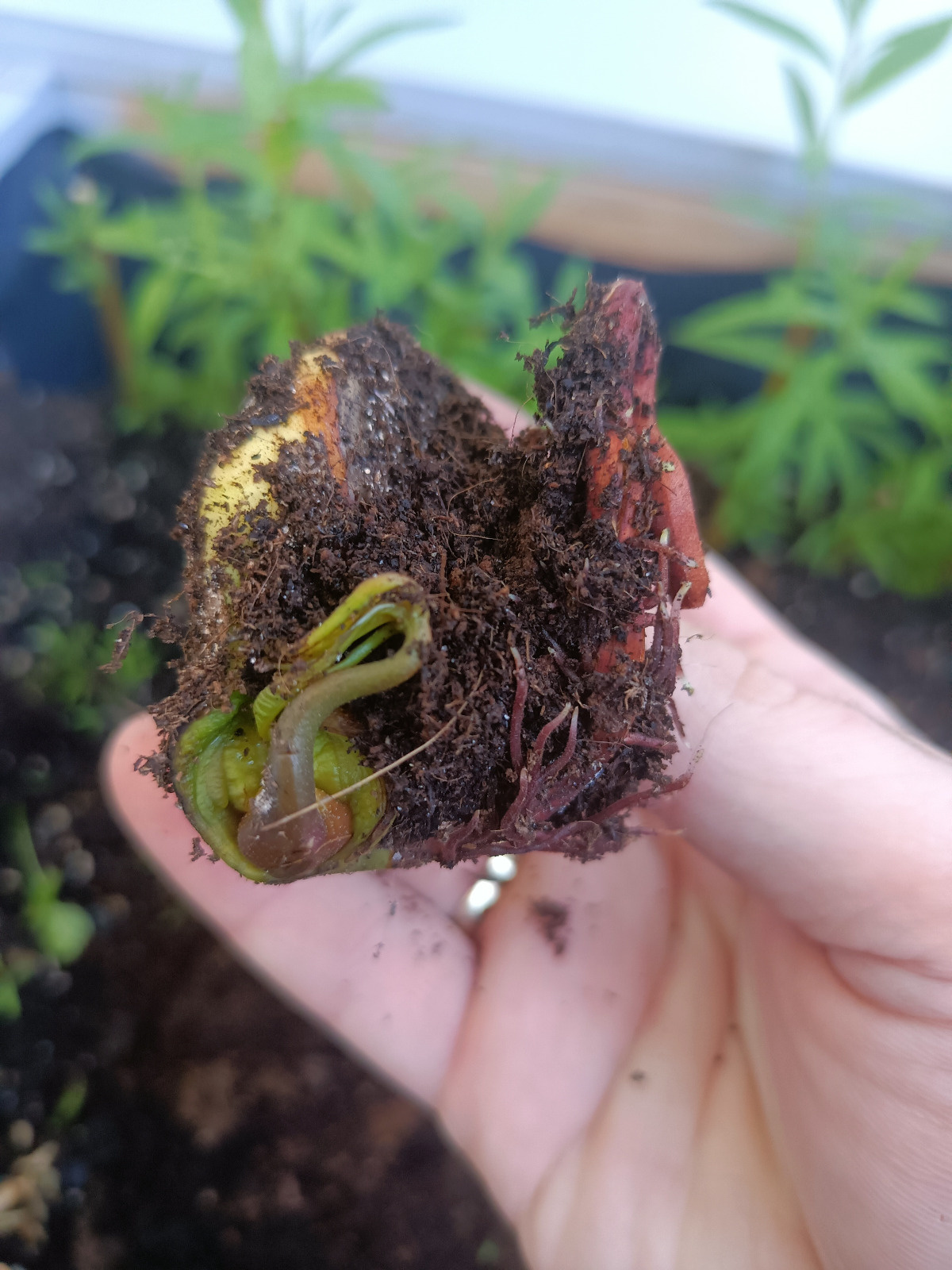 7b44de61-74ae-4908-9e7f-62415fea84d1